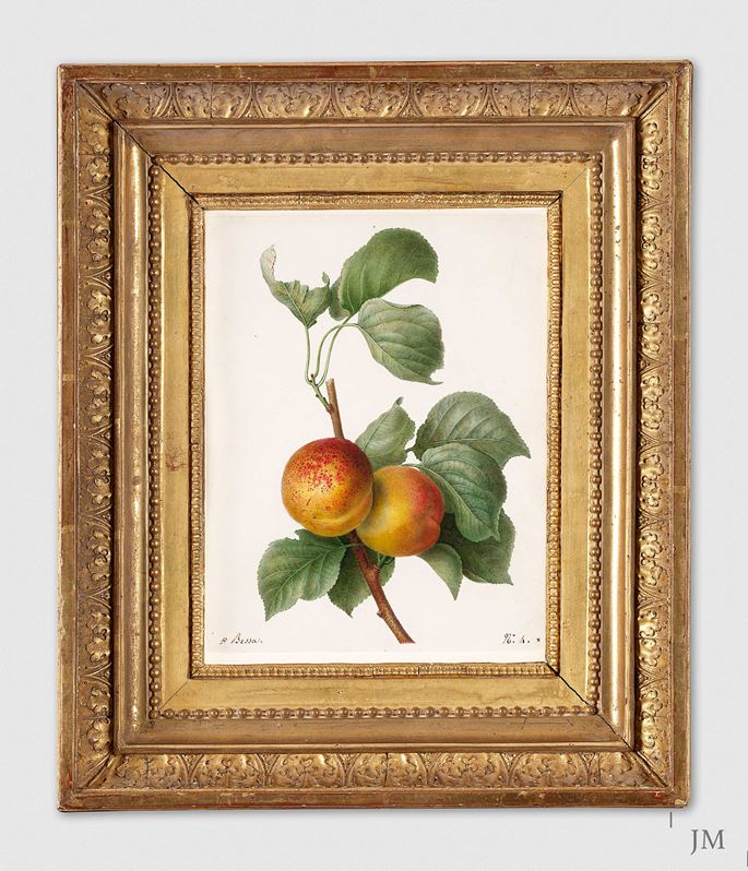 Pancrace BESSA - Two Apricots on a Branch | MasterArt